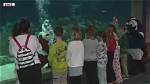 Winter Wonderland at Odysea Aquarium