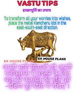 Wish Cow in Vastu Shastra: Benefits of Wish Cow According to Feng Shui