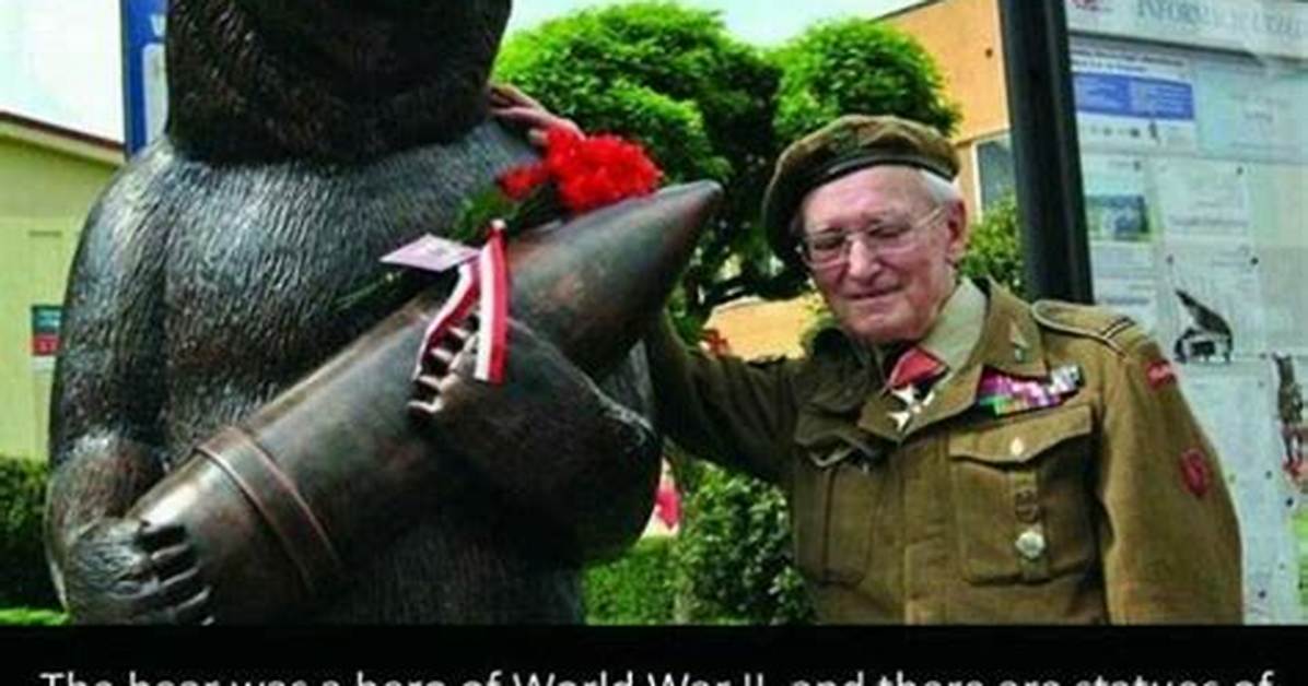 Wojtek the Bear: a Surprising Hero of the Second World War