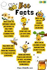 World Bee Day | Bee Facts