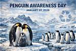World Penguin Day Celebrated | News, Sports, Jobs