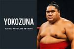 Would You Rather Yokozuna or Malenko Be Inducted into the Hof