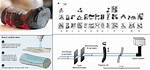 X-Rays Could Reveal Secrets of Vesuvius Rolled Herculaneum Papyri