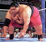 Yokozuna Memorial Show | Wrestlezone Forums
