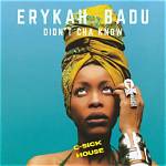 ‘You Didn’t Lie Queen’: Erykah Badu Fires Back at Dj Akademiks After He Blasted the Singer Online for Comparing Him to a Mouse