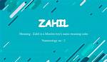 Zahil Meaning in English, Zahil Baby Name Origin Gender Meaning Pronunciation